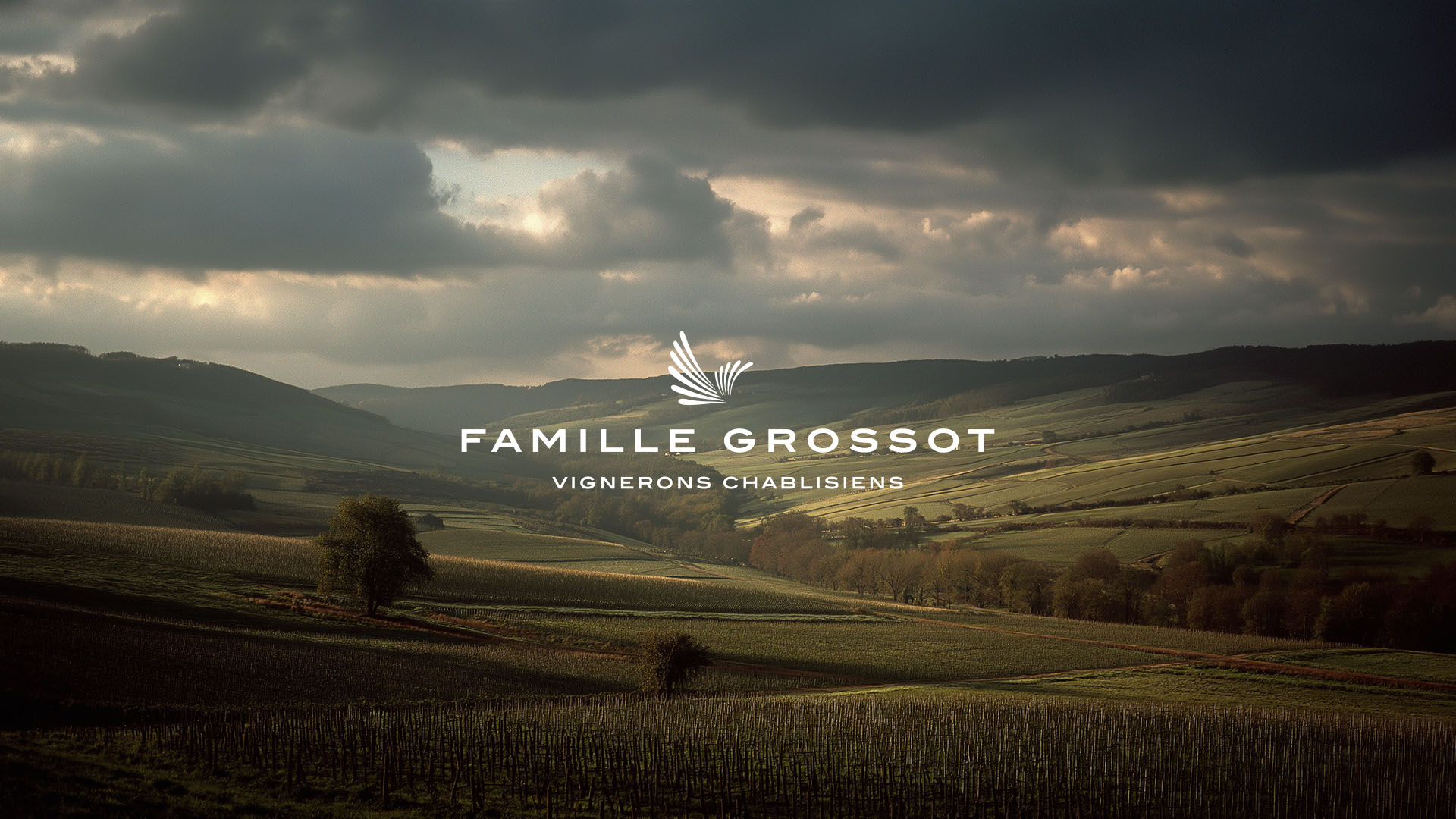 mmaj création d’identité visuelle nantes packaging logo Graphisme et création urbaine à Nantes : Famille Grossot Chablis Bourgogne - Conception d'identité visuelle pour le domaine viticole.